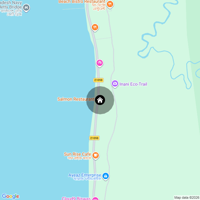 Google Map