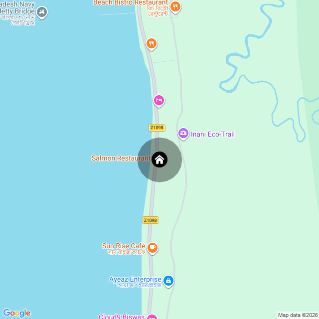 Google Map