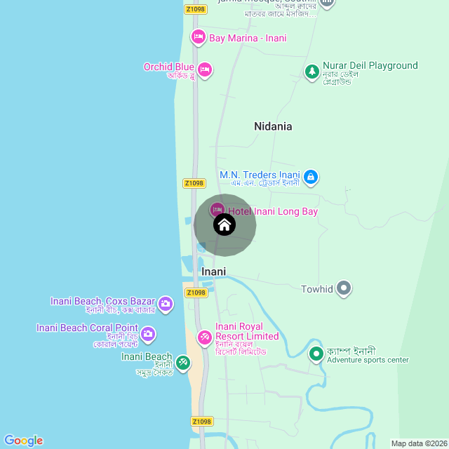 Google Map