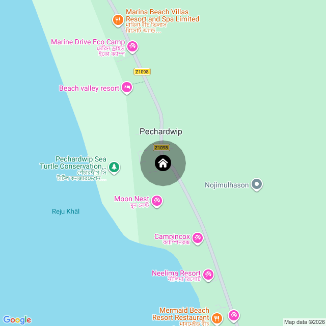 Google Map