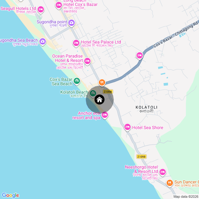 Google Map