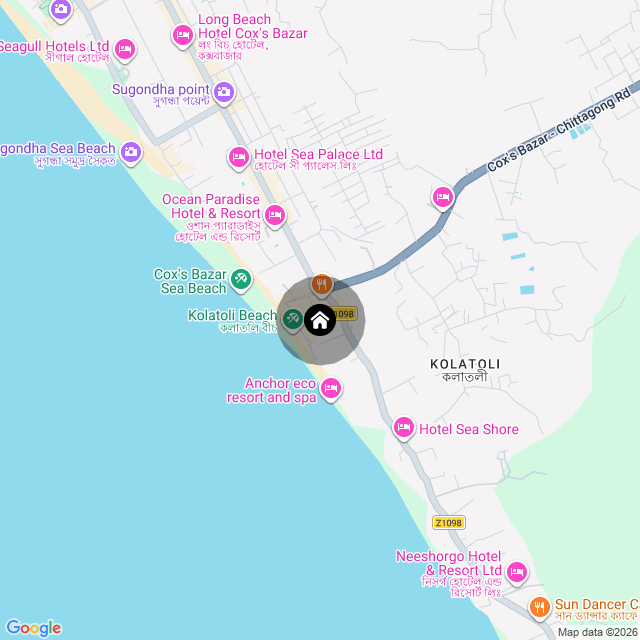 Google Map