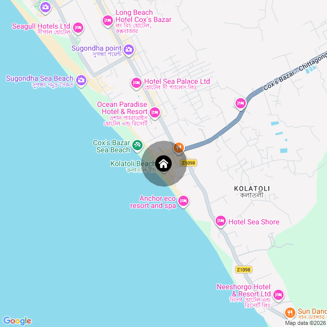 Google Map