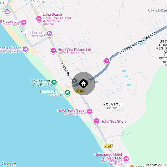 Google Map