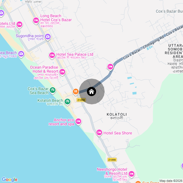 Google Map