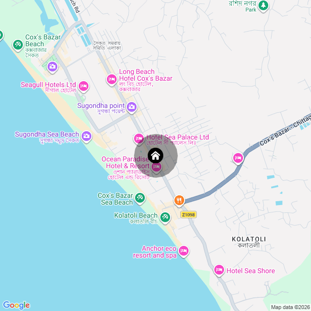 Google Map