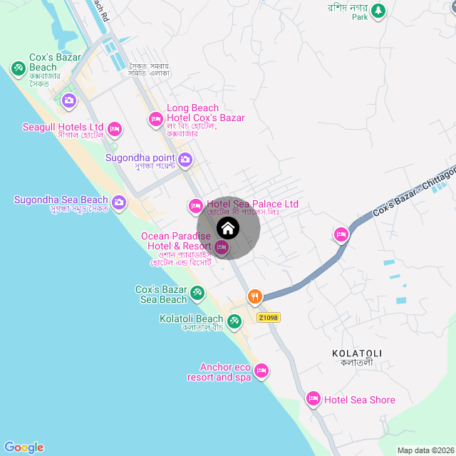 Google Map