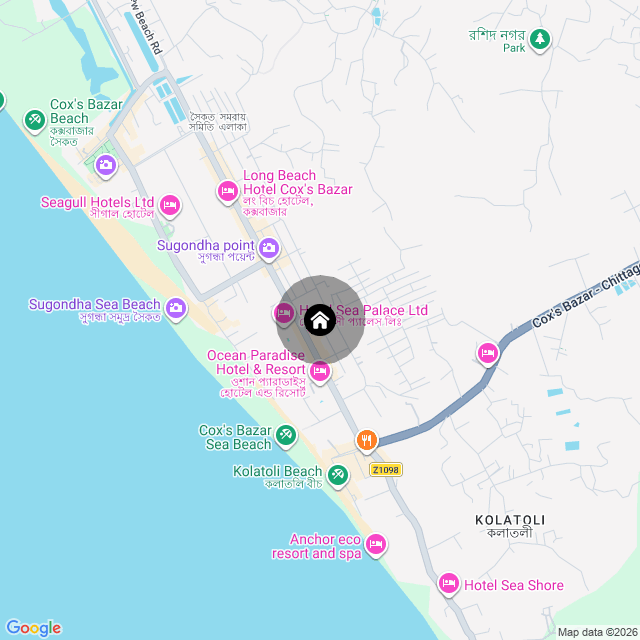 Google Map