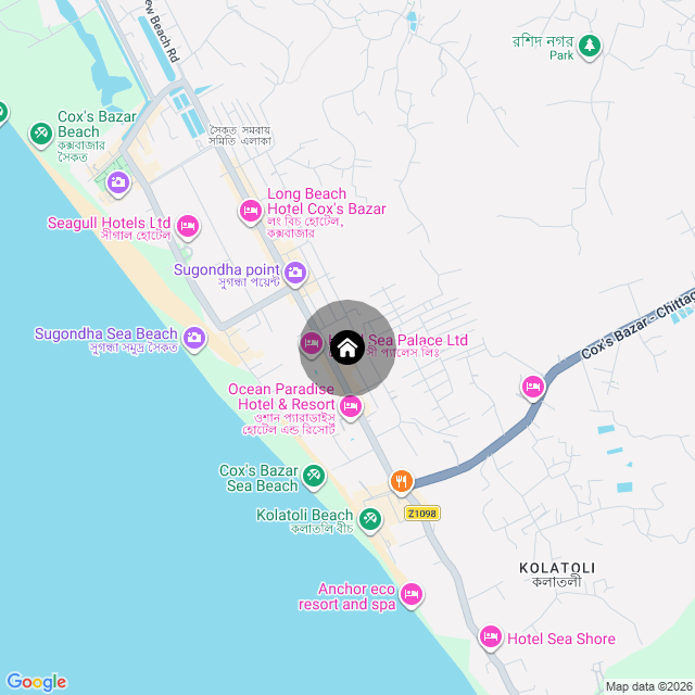 Google Map