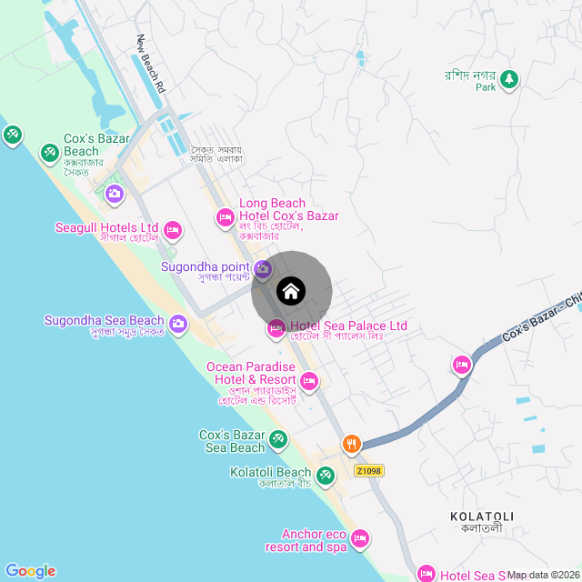 Google Map