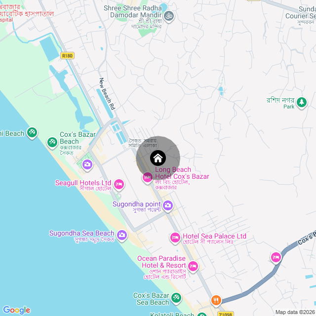 Google Map