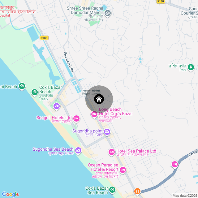 Google Map