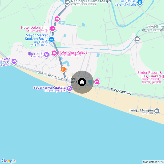 Google Map