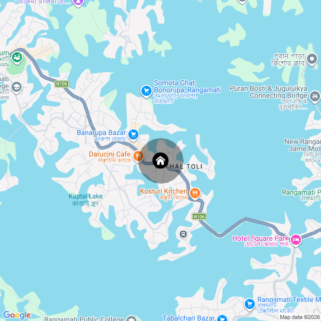 Google Map