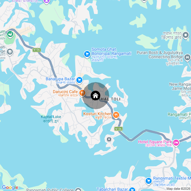 Google Map