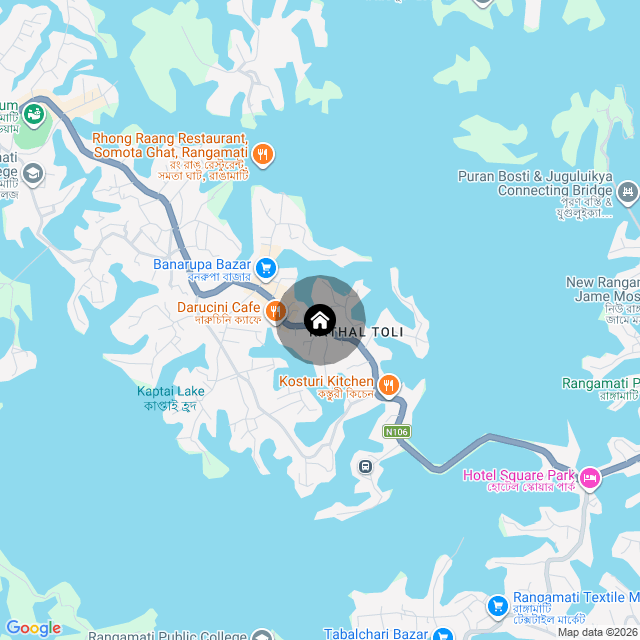 Google Map