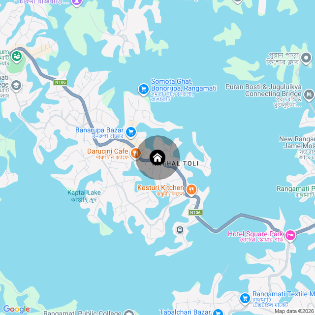 Google Map
