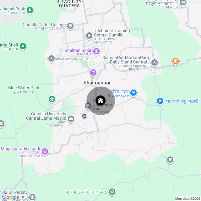 Google Map