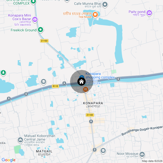 Google Map