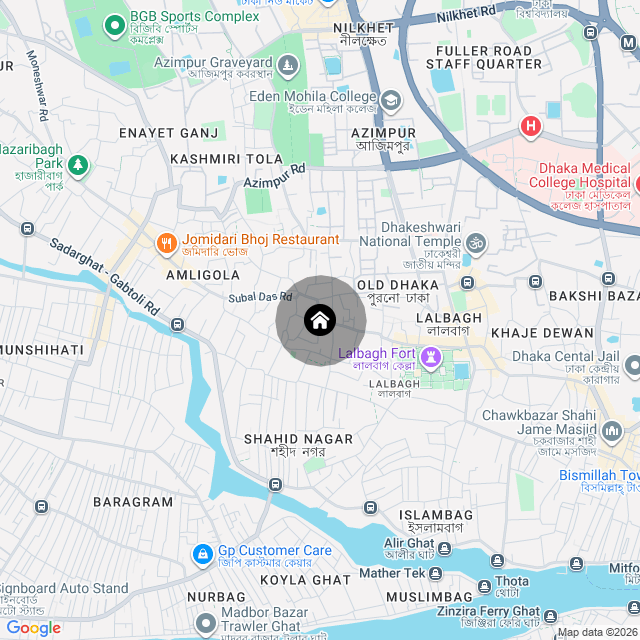 Google Map