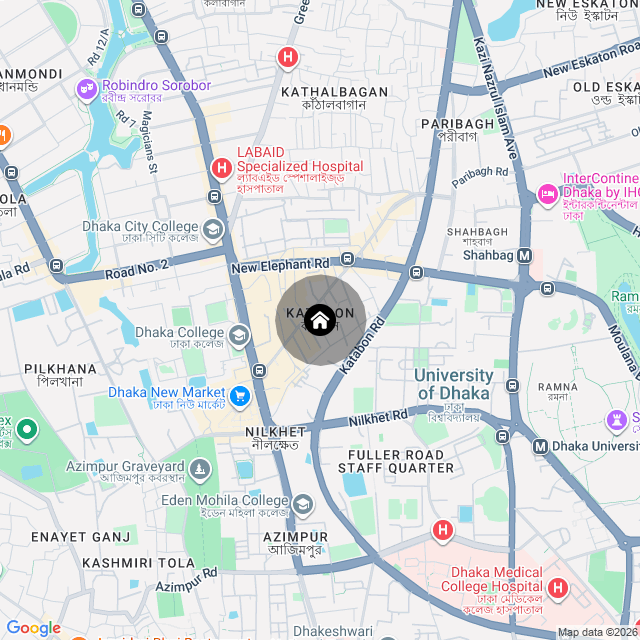 Google Map