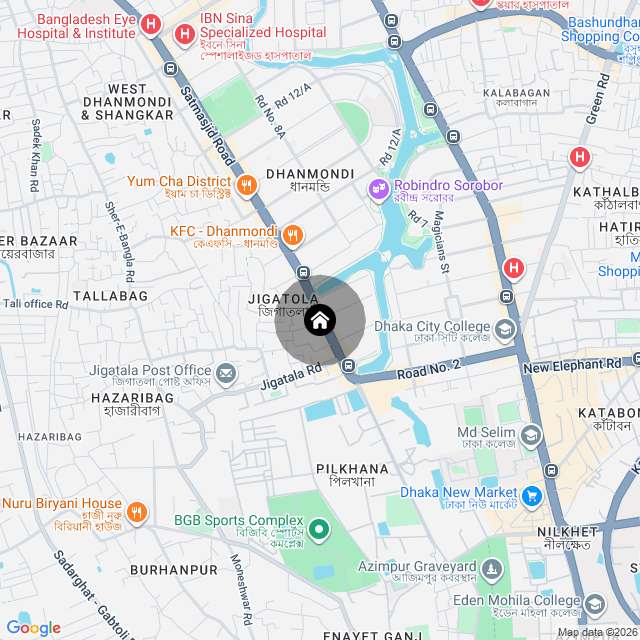 Google Map