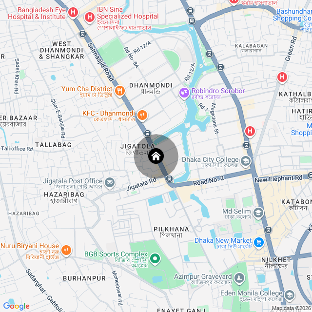 Google Map