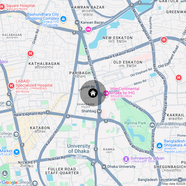 Google Map