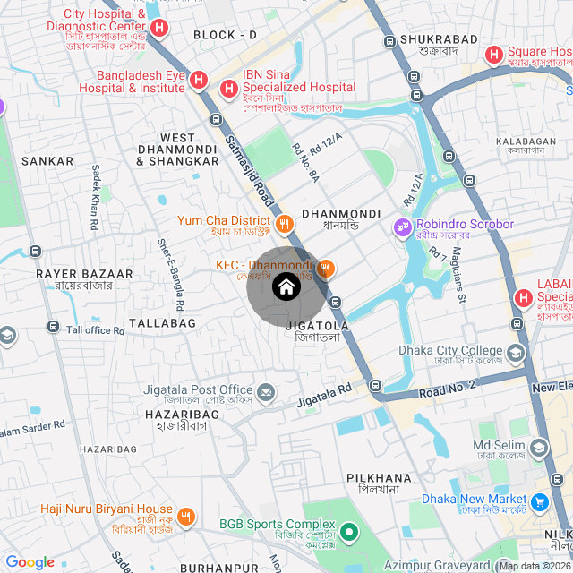 Google Map