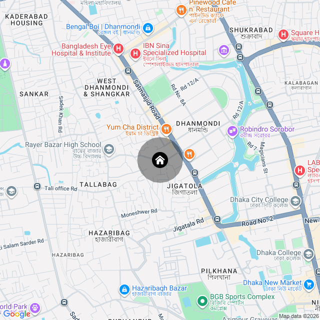 Google Map