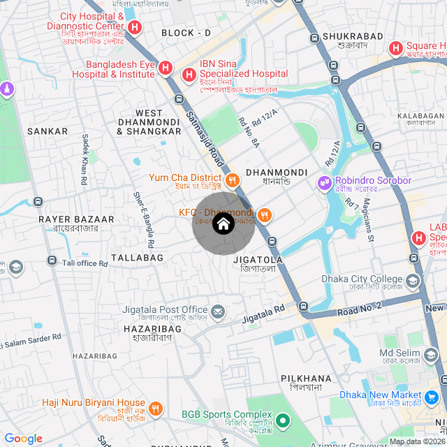 Google Map