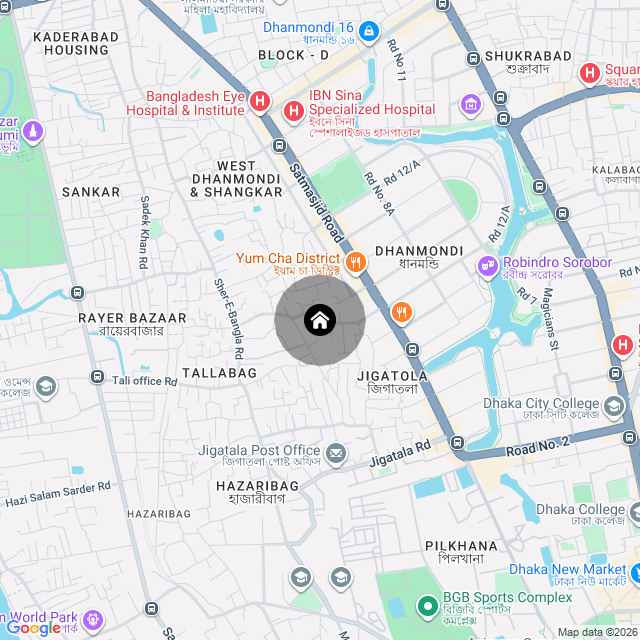 Google Map