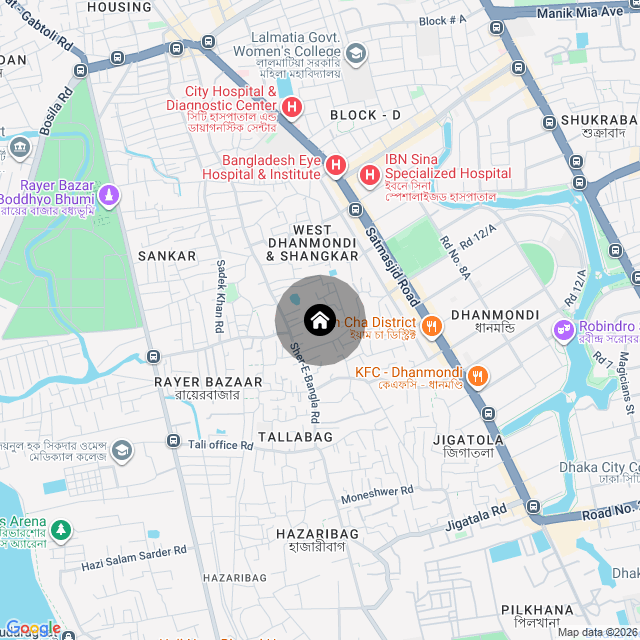 Google Map