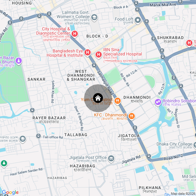 Google Map