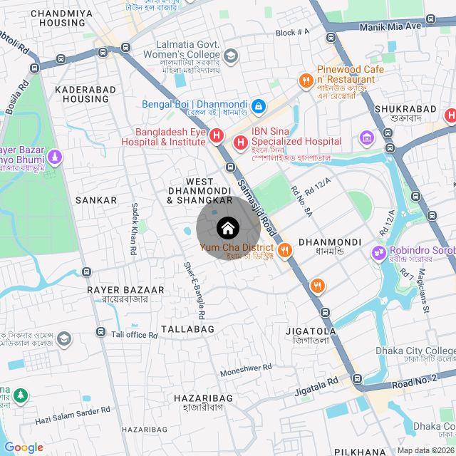 Google Map
