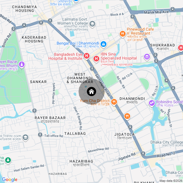 Google Map