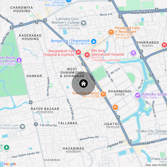 Google Map