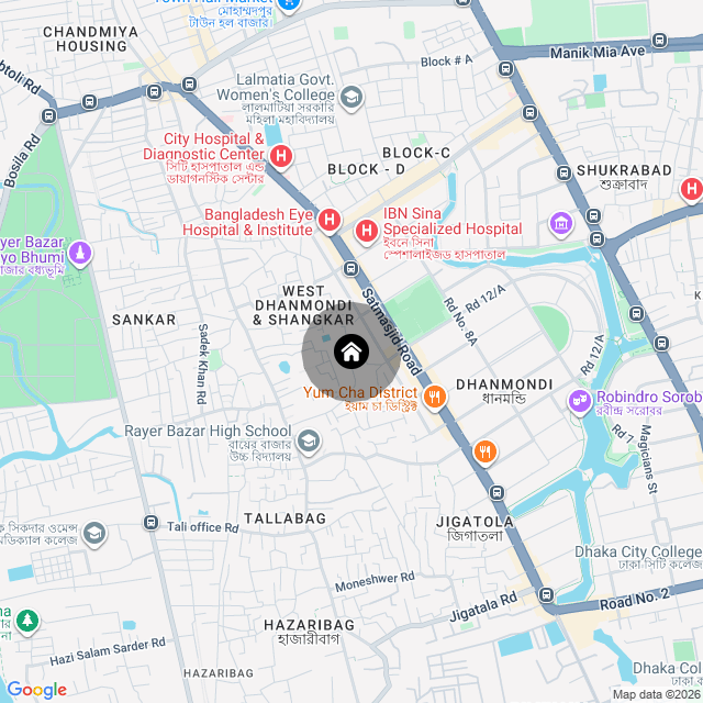 Google Map