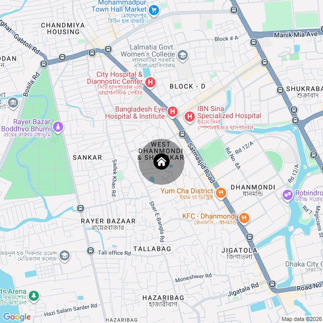 Google Map