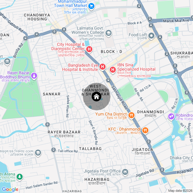 Google Map