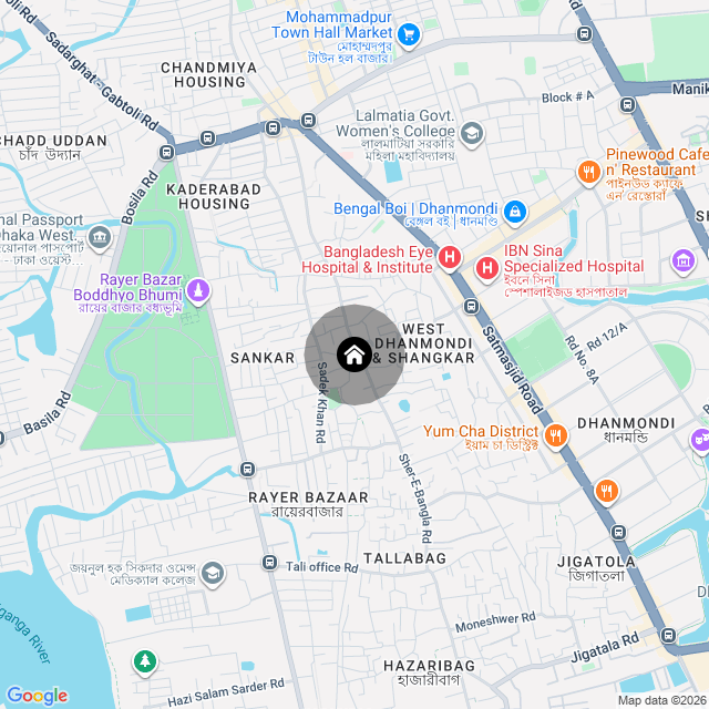 Google Map
