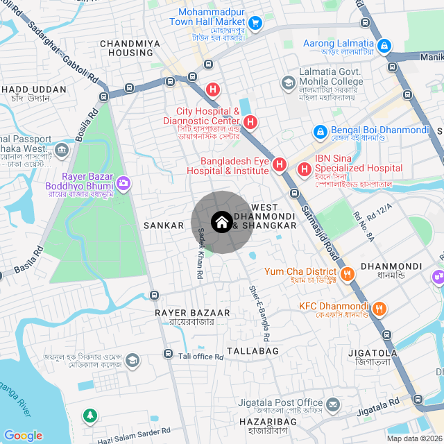 Google Map