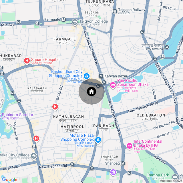 Google Map