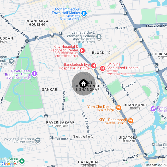 Google Map