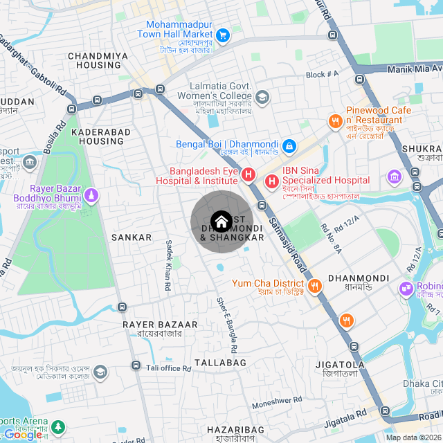 Google Map
