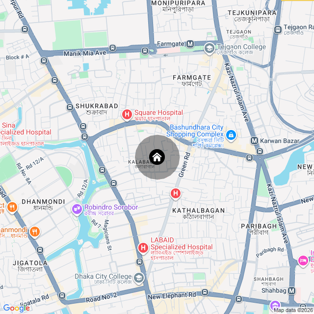 Google Map