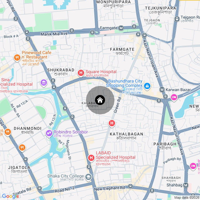 Google Map