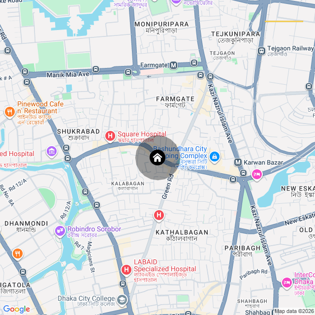 Google Map