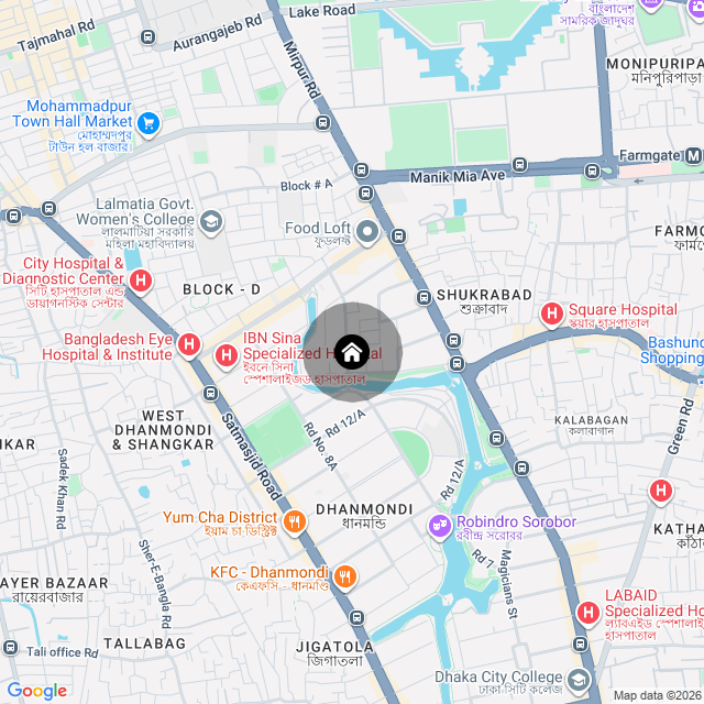 Google Map