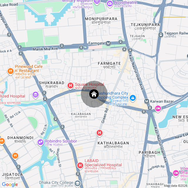 Google Map